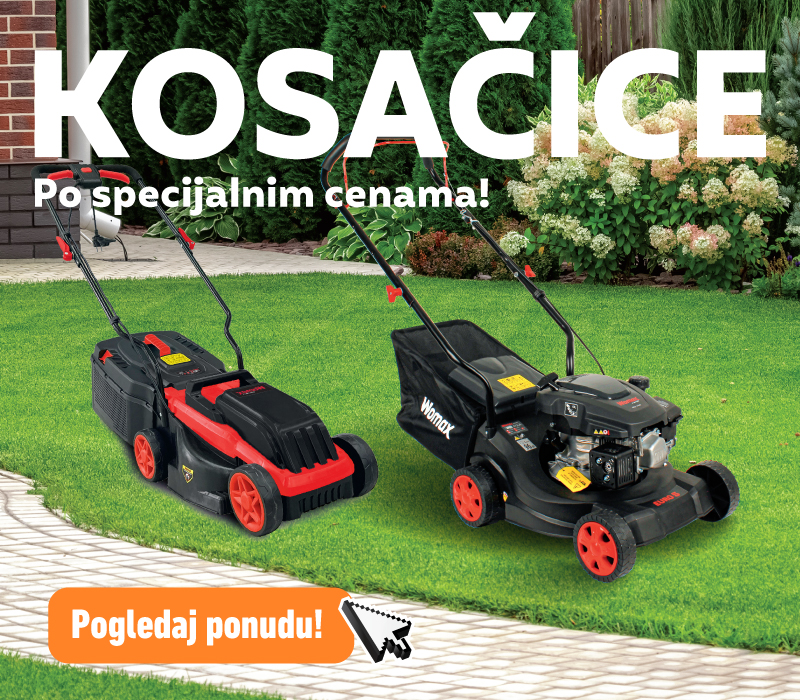 Kosacice 2025