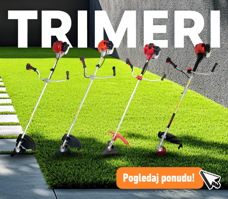 Trimeri 2025