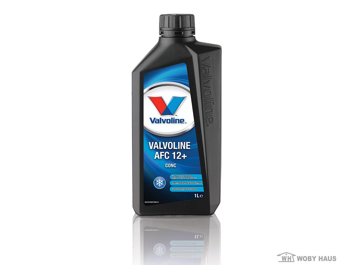 ANTIFRIZ VALVOLINE AFC 12+ CONC12/1L 